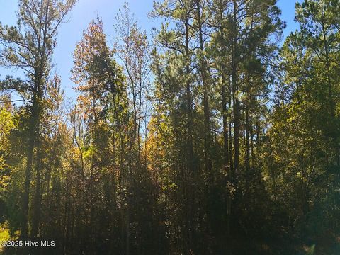 Tiny photo for 24451 50, Maple Hill, NC 28454 (MLS # 100538725)