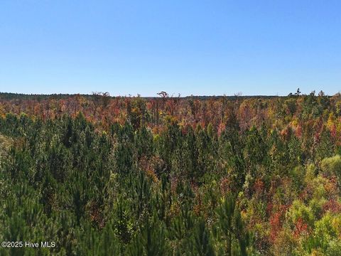 Tiny photo for 24451 50, Maple Hill, NC 28454 (MLS # 100538725)