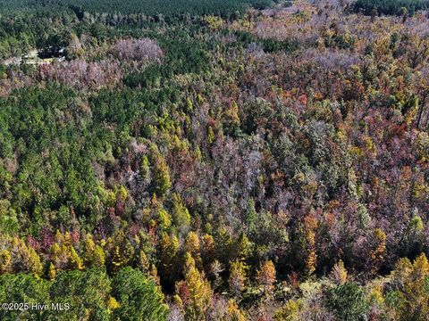 Tiny photo for 24451 50, Maple Hill, NC 28454 (MLS # 100538725)