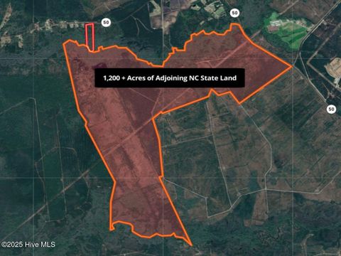 Tiny photo for 24451 50, Maple Hill, NC 28454 (MLS # 100538725)