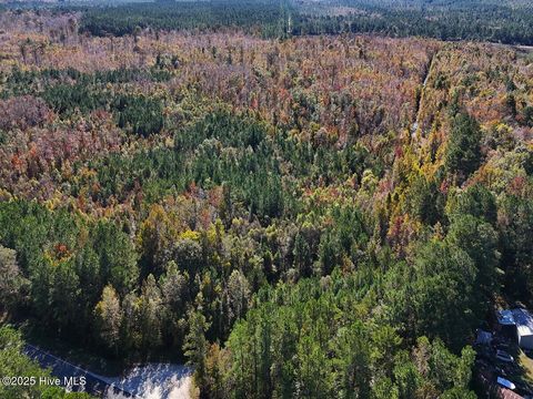 Tiny photo for 24451 50, Maple Hill, NC 28454 (MLS # 100538725)