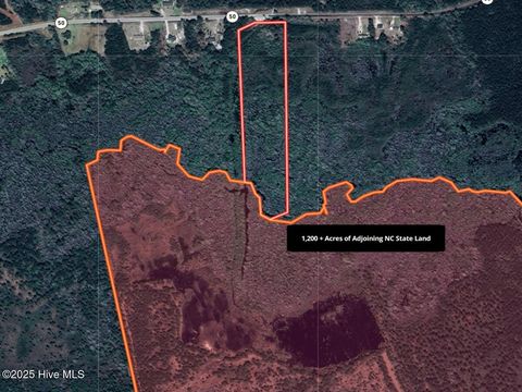 Tiny photo for 24451 50, Maple Hill, NC 28454 (MLS # 100538725)