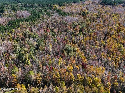 Tiny photo for 24451 50, Maple Hill, NC 28454 (MLS # 100538725)