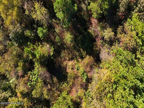 Tiny photo for 24451 50, Maple Hill, NC 28454 (MLS # 100538725)