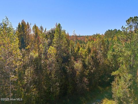 Photo of 24451 50, Maple Hill, NC 28454 (MLS # 100538725)