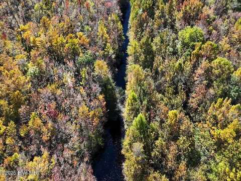 Tiny photo for 24451 50, Maple Hill, NC 28454 (MLS # 100538725)