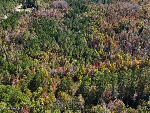 Tiny photo for 24451 50, Maple Hill, NC 28454 (MLS # 100538725)