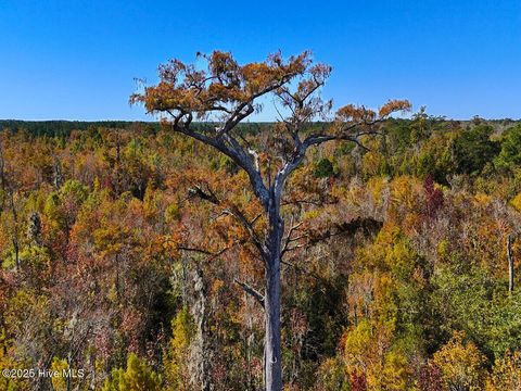 Tiny photo for 24451 50, Maple Hill, NC 28454 (MLS # 100538725)