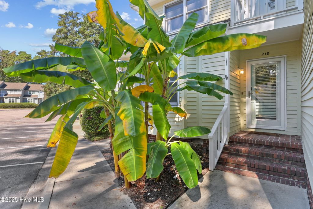 Photo of 1800 Eastwood Road #Apt 218, Wilmington, NC 28403 (MLS # 100538212)