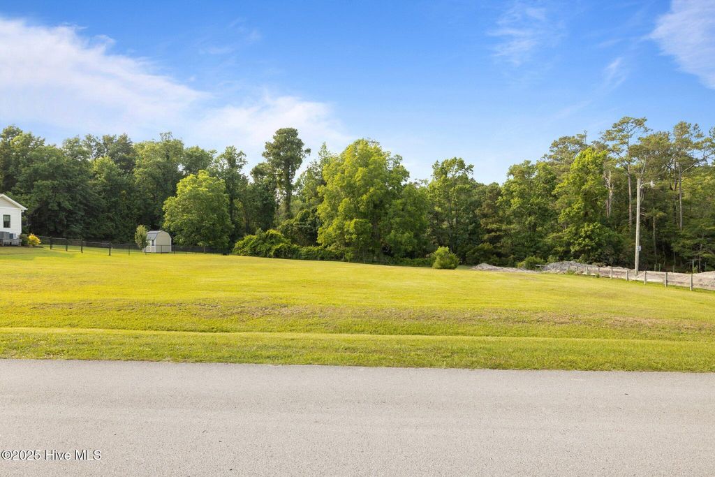 Photo of 304 Brook Lane, Newport, NC 28570 (MLS # 100512833)