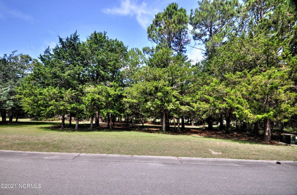 Photo of 4393 Brantley Circle SW, Shallotte, NC 28470 (MLS # 100432938)