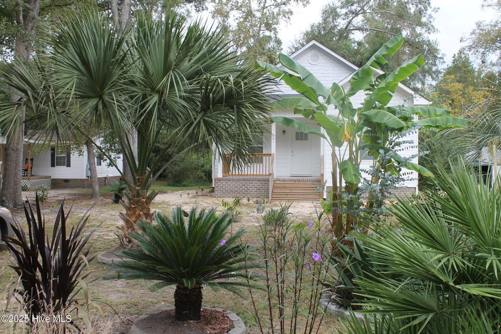 Photo of 301 E Goodman Street, Fair Bluff, NC 28439 (MLS # 100535725)