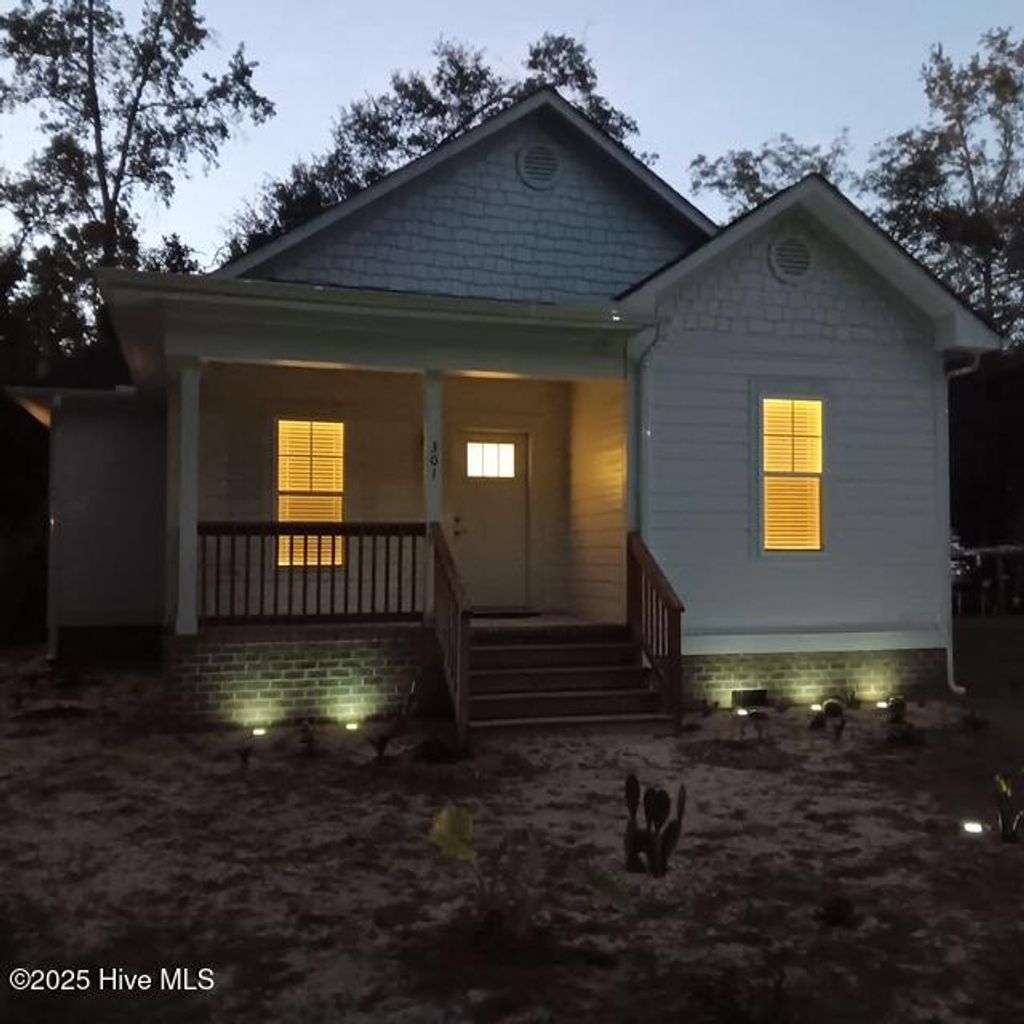 Photo of 301 E Goodman Street, Fair Bluff, NC 28439 (MLS # 100535725)