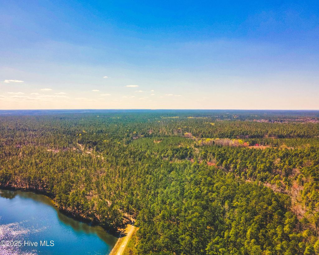 Photo of Tbd Raccoon Run, Wagram, NC 28396 (MLS # 100536651)