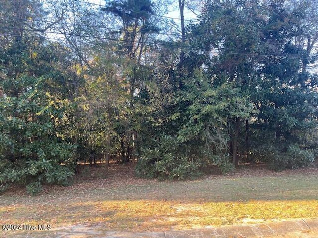 Photo of 408 Lake Pines Drive, La Grange, NC 28551 (MLS # 100476089)