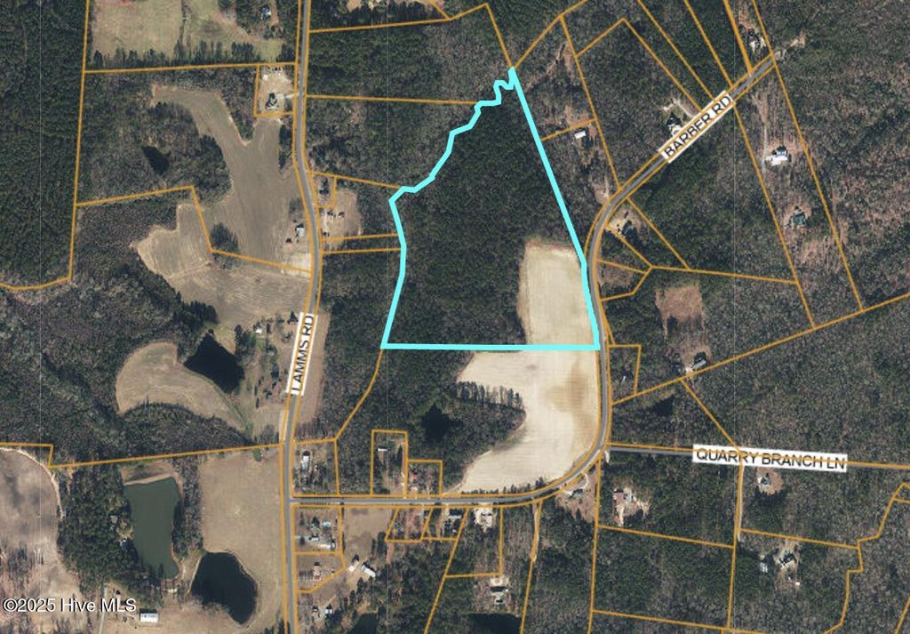 Photo of Tbd Barber Road, Carthage, NC 28327 (MLS # 100537902)