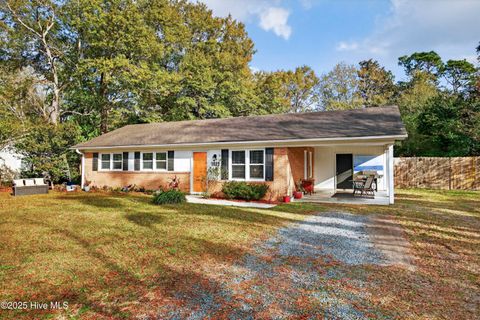 Photo of 1022 Stevenson Drive, Wilmington, NC 28405 (MLS # 100543971)