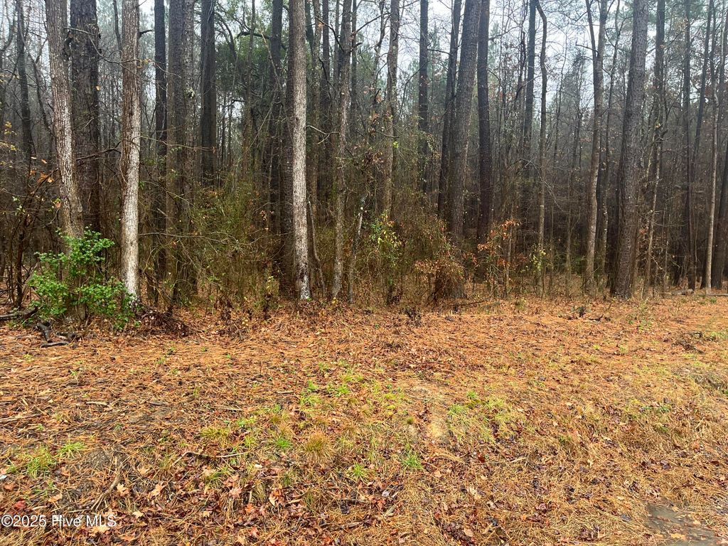 Photo of 0 Reams Road, Spring Hope, NC 27882 (MLS # 100543686)