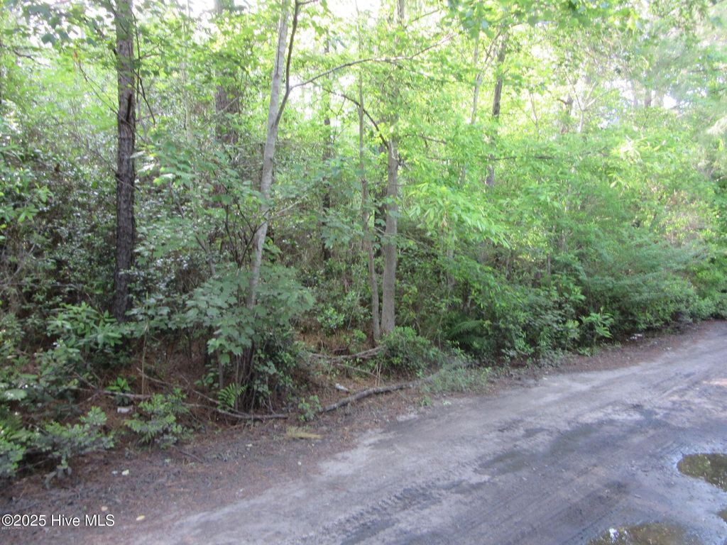 Photo of 1253 Crooked Pine Road, Wilmington, NC 28411 (MLS # 100535083)