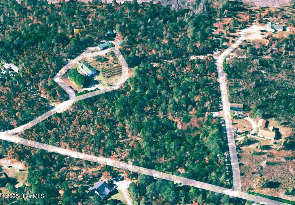 Photo of 383 Ellis Lane, West End, NC 27376 (MLS # 100544059)