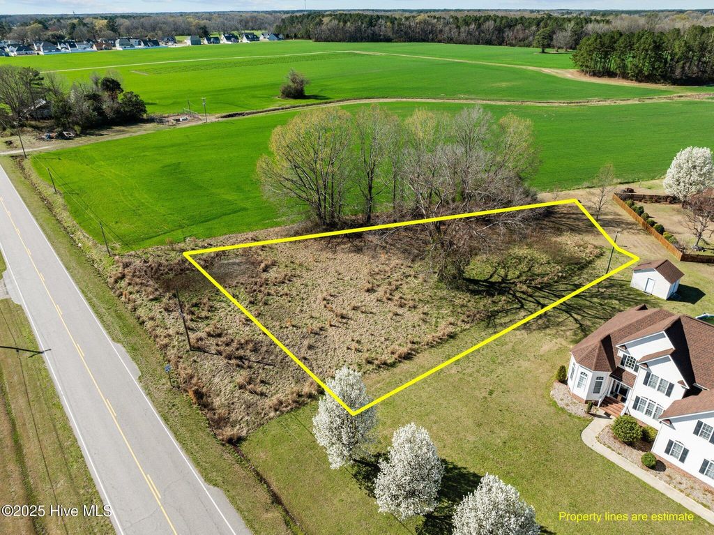 Photo of 4140 W Wilson Street, Farmville, NC 27828 (MLS # 100496422)