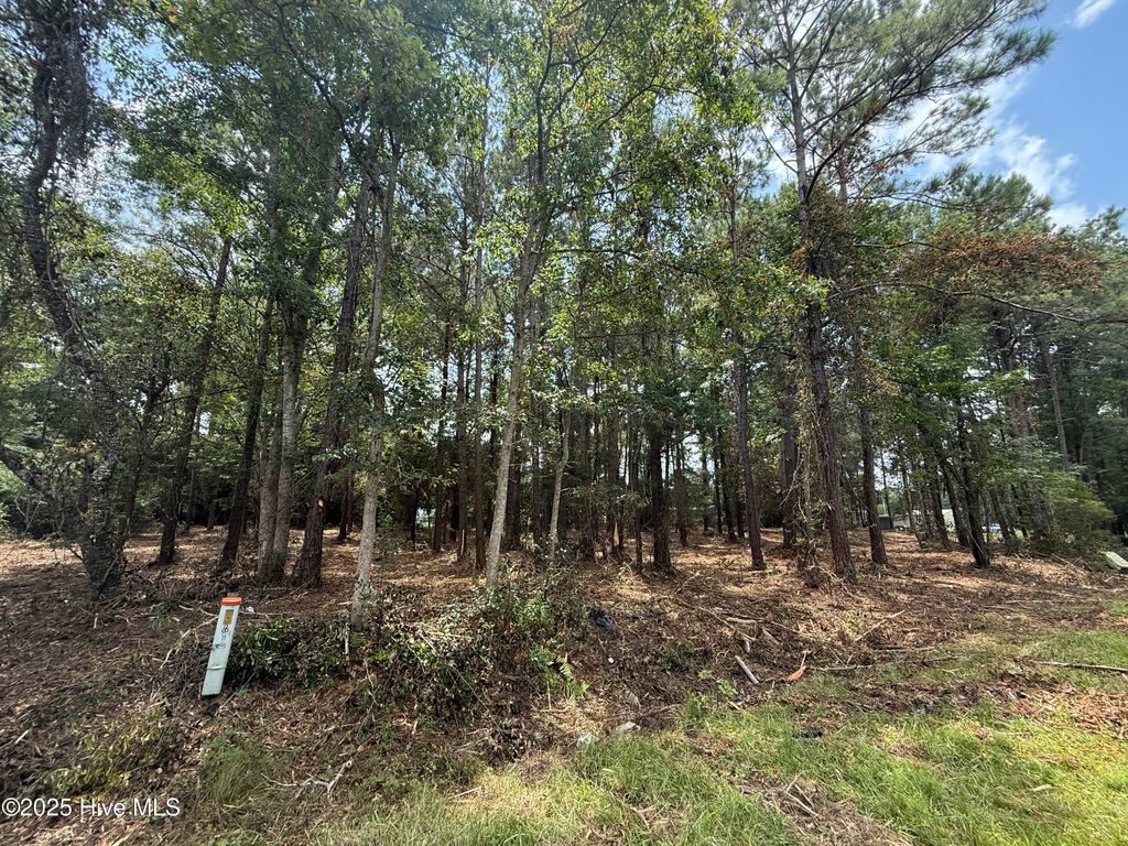 Photo of 2993 James Street SW, Supply, NC 28462 (MLS # 100508944)
