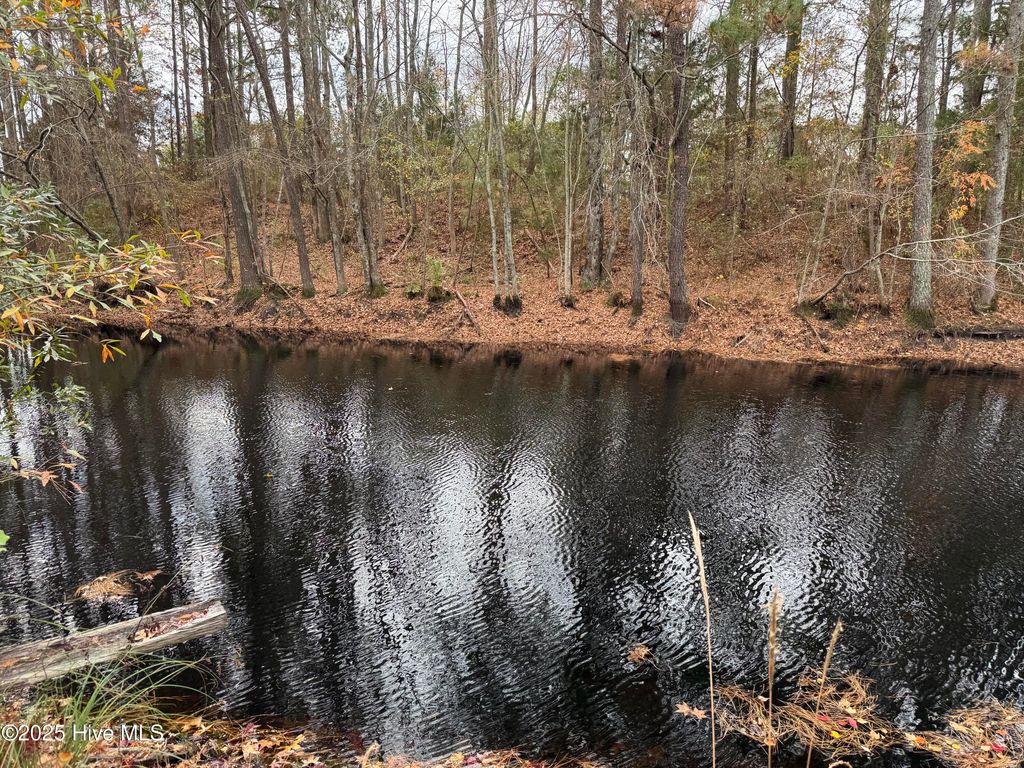 Photo of 0 Boyd Lake Road, Hamlet, NC 28345 (MLS # 100543580)