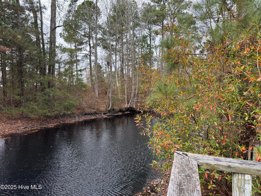 Photo of 0 Boyd Lake Road, Hamlet, NC 28345 (MLS # 100543580)