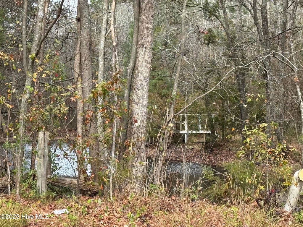 Photo of 0 Boyd Lake Road, Hamlet, NC 28345 (MLS # 100543580)