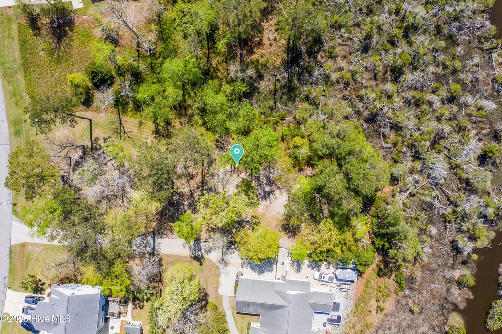 Photo of 209 Creek View Circle, Sneads Ferry, NC 28460 (MLS # 100523714)