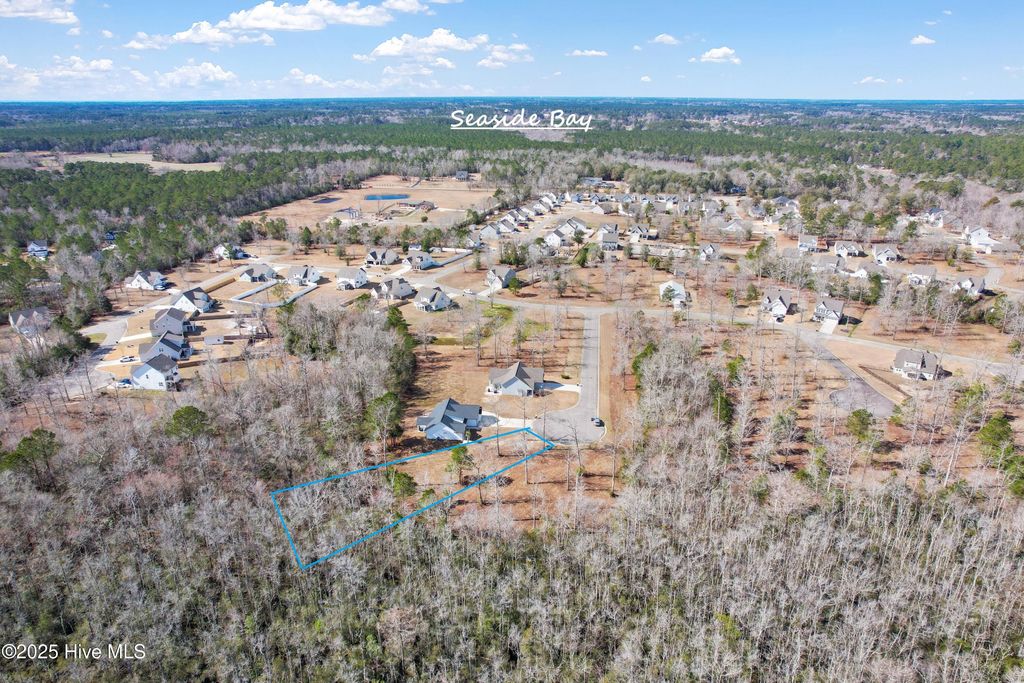 Photo of 371 John Grissett Drive SW, Supply, NC 28462 (MLS # 100489859)