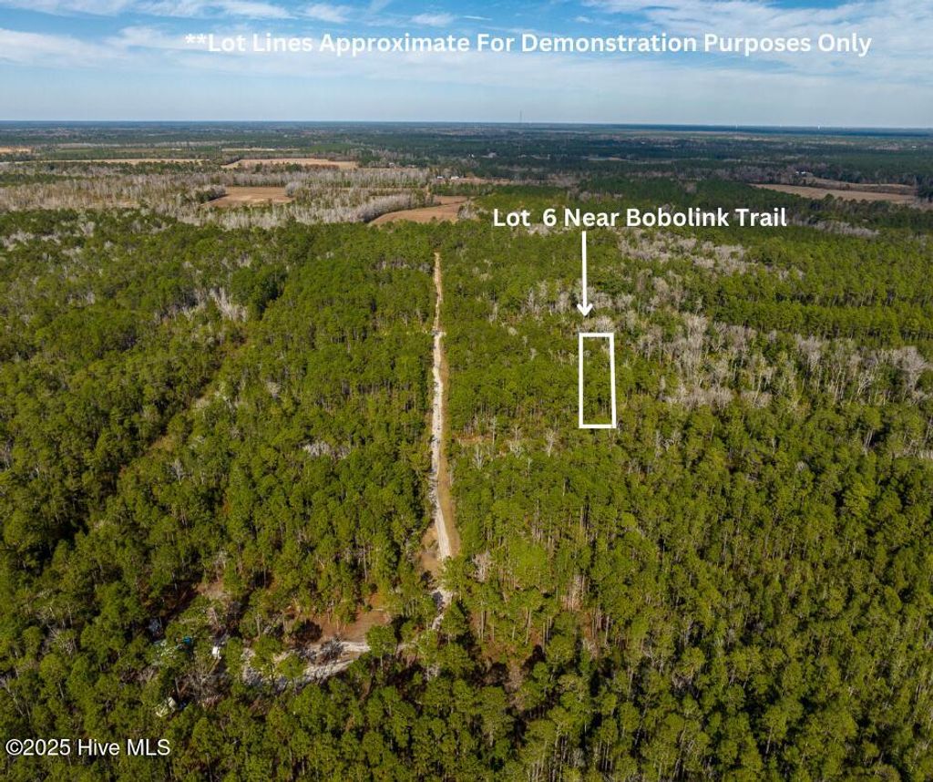 Photo of 6 Bobolink Trail SE, Southport, NC 28461 (MLS # 100532175)