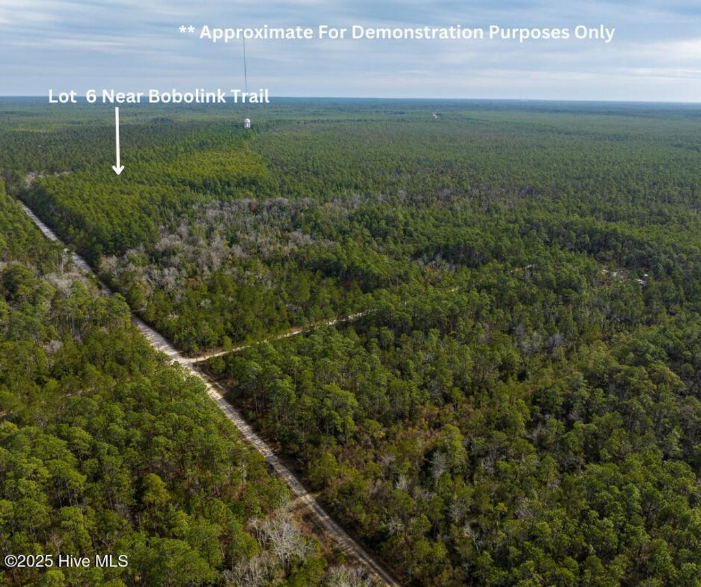 Photo of 6 Bobolink Trail SE, Southport, NC 28461 (MLS # 100532175)