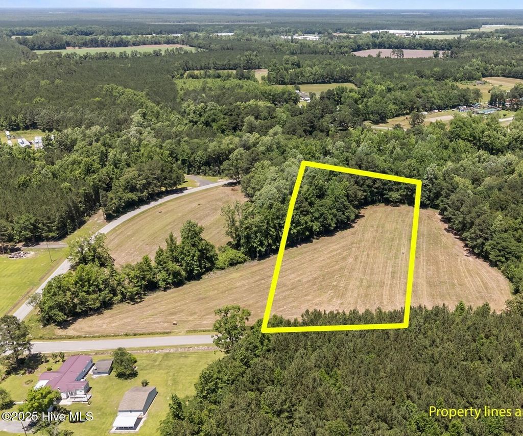 Photo of 0 Newtown Loop Road, Atkinson, NC 28421 (MLS # 100510469)