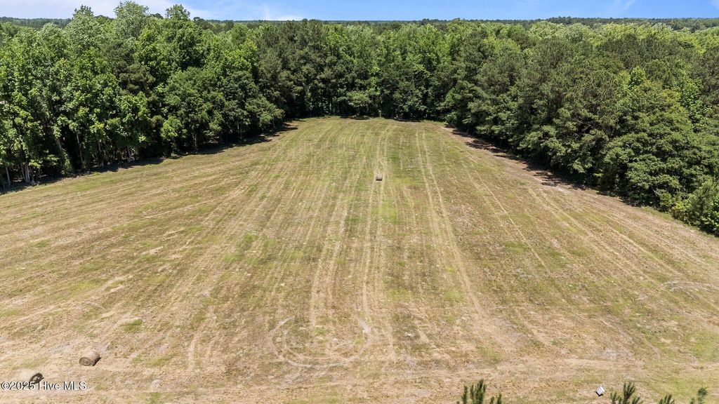 Photo of 0 Newtown Loop Road, Atkinson, NC 28421 (MLS # 100510469)