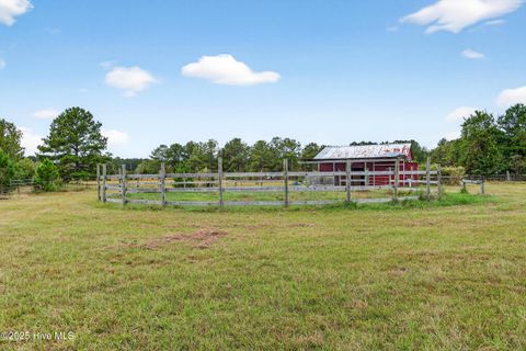 Tiny photo for 594 Montague Road, Currie, NC 28435 (MLS # 100535207)