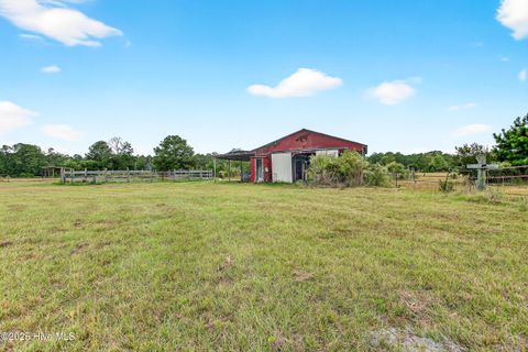 Tiny photo for 594 Montague Road, Currie, NC 28435 (MLS # 100535207)