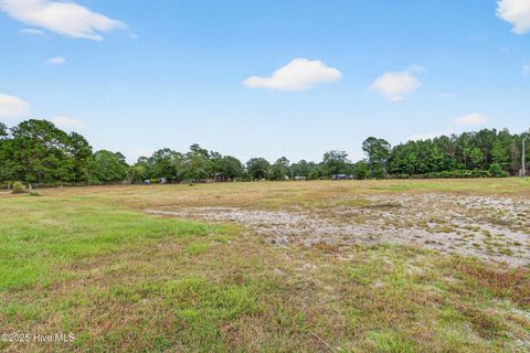 Tiny photo for 594 Montague Road, Currie, NC 28435 (MLS # 100535207)