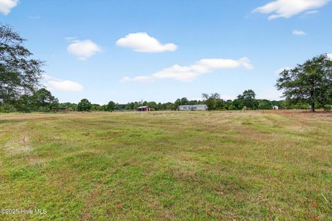 Tiny photo for 594 Montague Road, Currie, NC 28435 (MLS # 100535207)