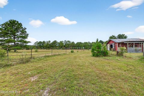 Tiny photo for 594 Montague Road, Currie, NC 28435 (MLS # 100535207)