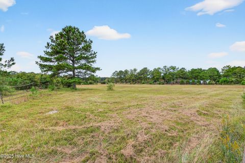 Tiny photo for 594 Montague Road, Currie, NC 28435 (MLS # 100535207)