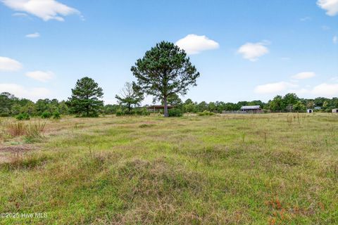 Tiny photo for 594 Montague Road, Currie, NC 28435 (MLS # 100535207)