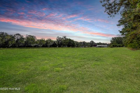 Tiny photo for 986 Five Mile Road, Richlands, NC 28574 (MLS # 100534654)