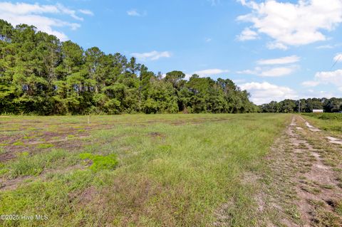 Tiny photo for 986 Five Mile Road, Richlands, NC 28574 (MLS # 100534654)