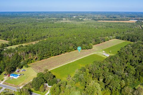 Tiny photo for 986 Five Mile Road, Richlands, NC 28574 (MLS # 100534654)