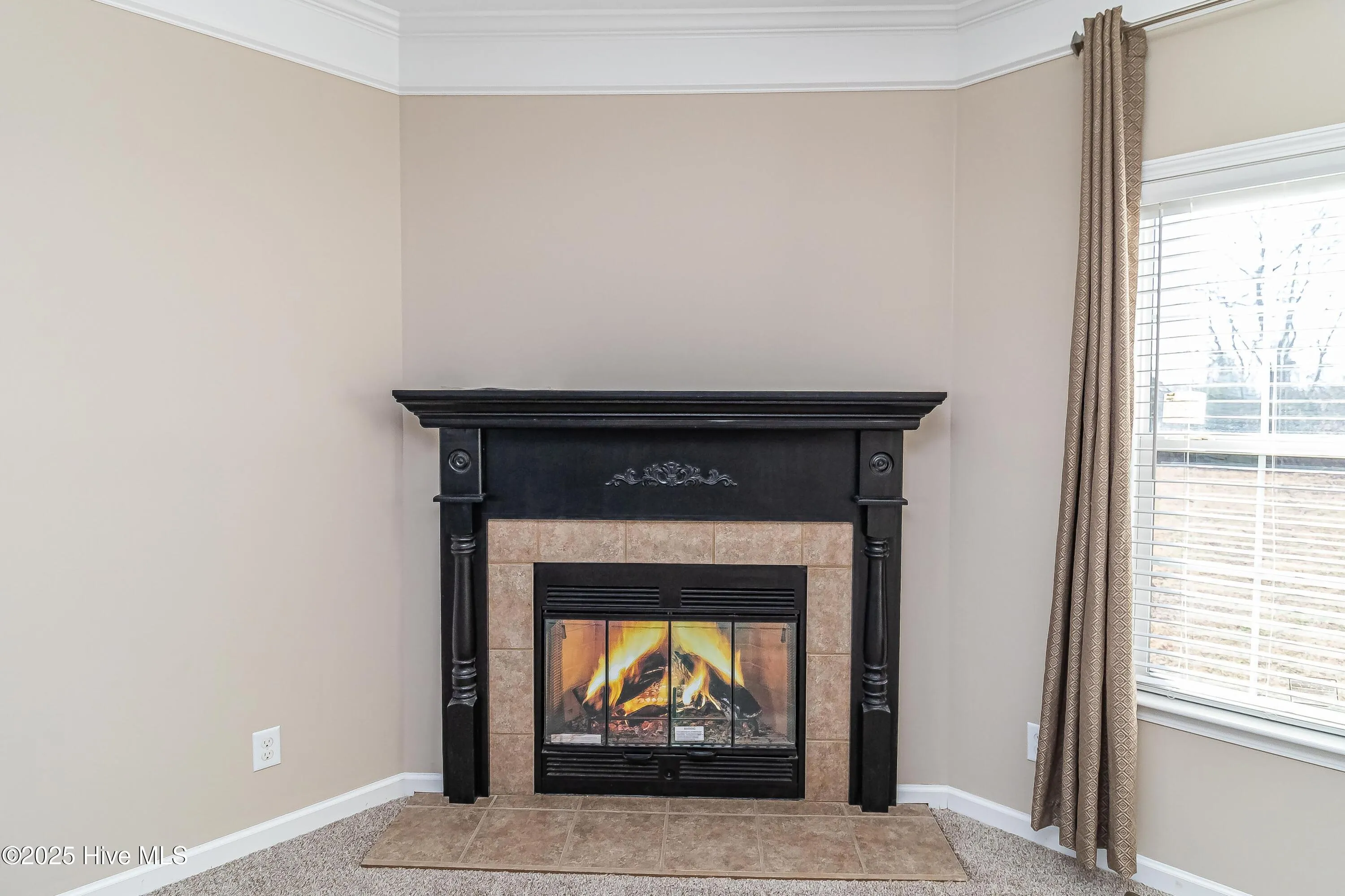 Farmville, North Carolina 27828, United States, 3 Bedrooms Bedrooms, ,2 BathroomsBathrooms,Residential,Active,59702