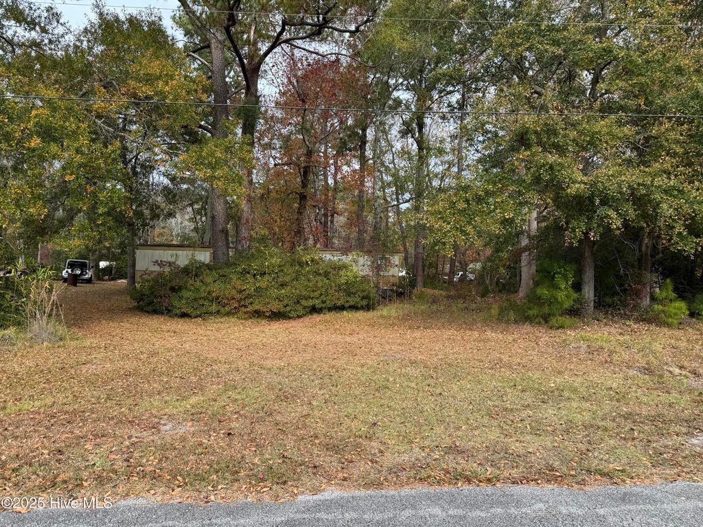 Photo of 1240 Charles Street SW, Holden Beach, NC 28462 (MLS # 100542625)