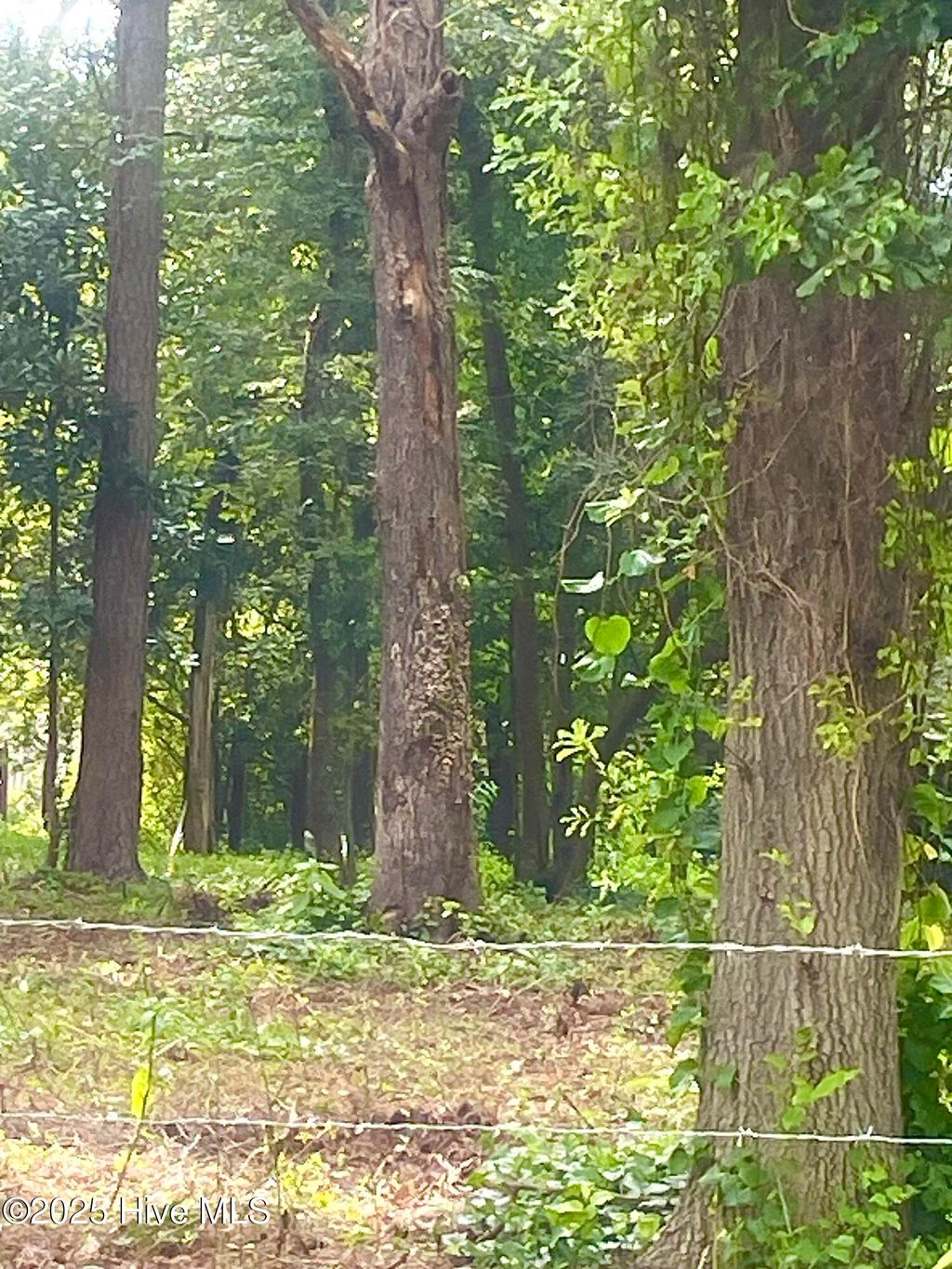 Photo of 205 Nancy Drive, Dudley, NC 28333 (MLS # 100538706)