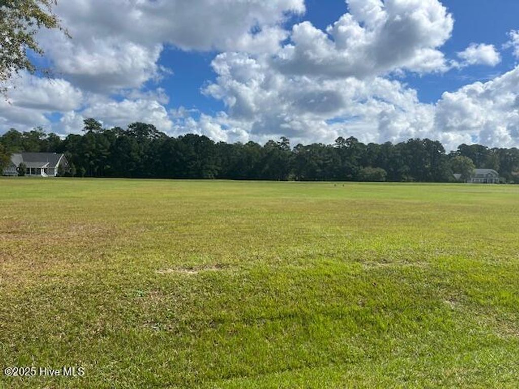 Photo of 208 Long Creek Drive, Havelock, NC 28532 (MLS # 100535371)