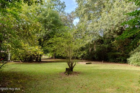 Tiny photo for 504 S Walker Street, Burgaw, NC 28425 (MLS # 100534320)
